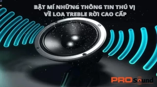BẬT MÍ NHỮNG THÔNG TIN THÚ VỊ VỀ LOA TREBLE RỜI CAO CẤP