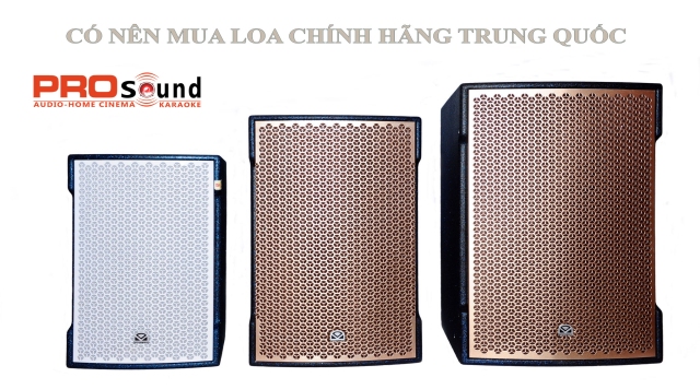 Có Nên Mua Loa Trung Quốc