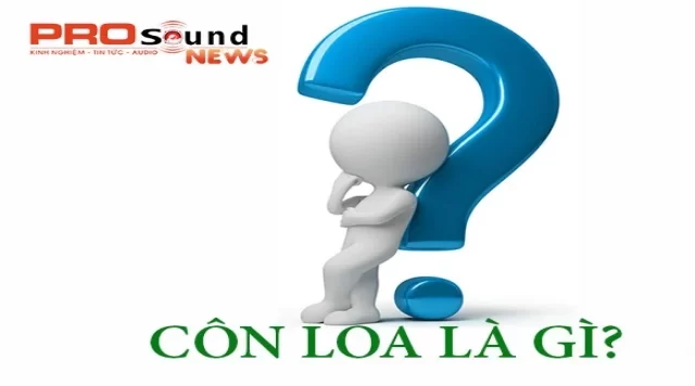 Côn loa là gì? Coil loa bị cháy, cần phải làm gì?