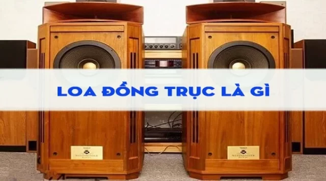 Loa đồng trục là gì?