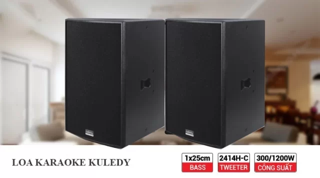 Nên mua loa karaoke gia đình của hãng nào tốt mà giá lại rẻ?