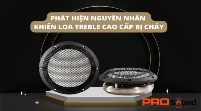 PHÁT HIỆN NGUYÊN NHÂN KHIẾN LOA TREBLE CAO CẤP BỊ CHÁY
