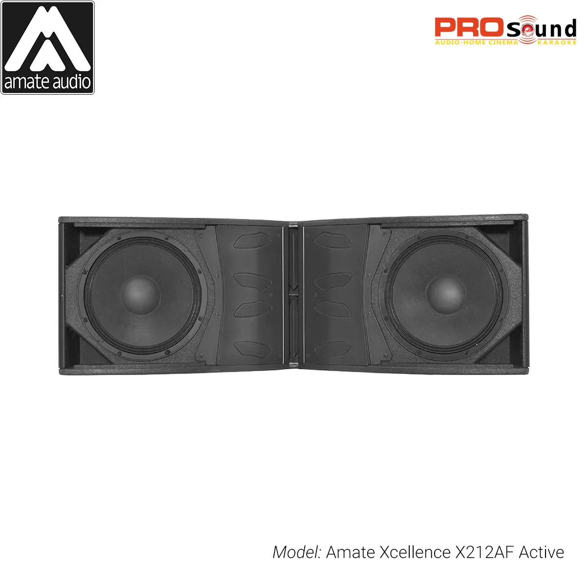 Line Array Amate Xcellence X212AF Active