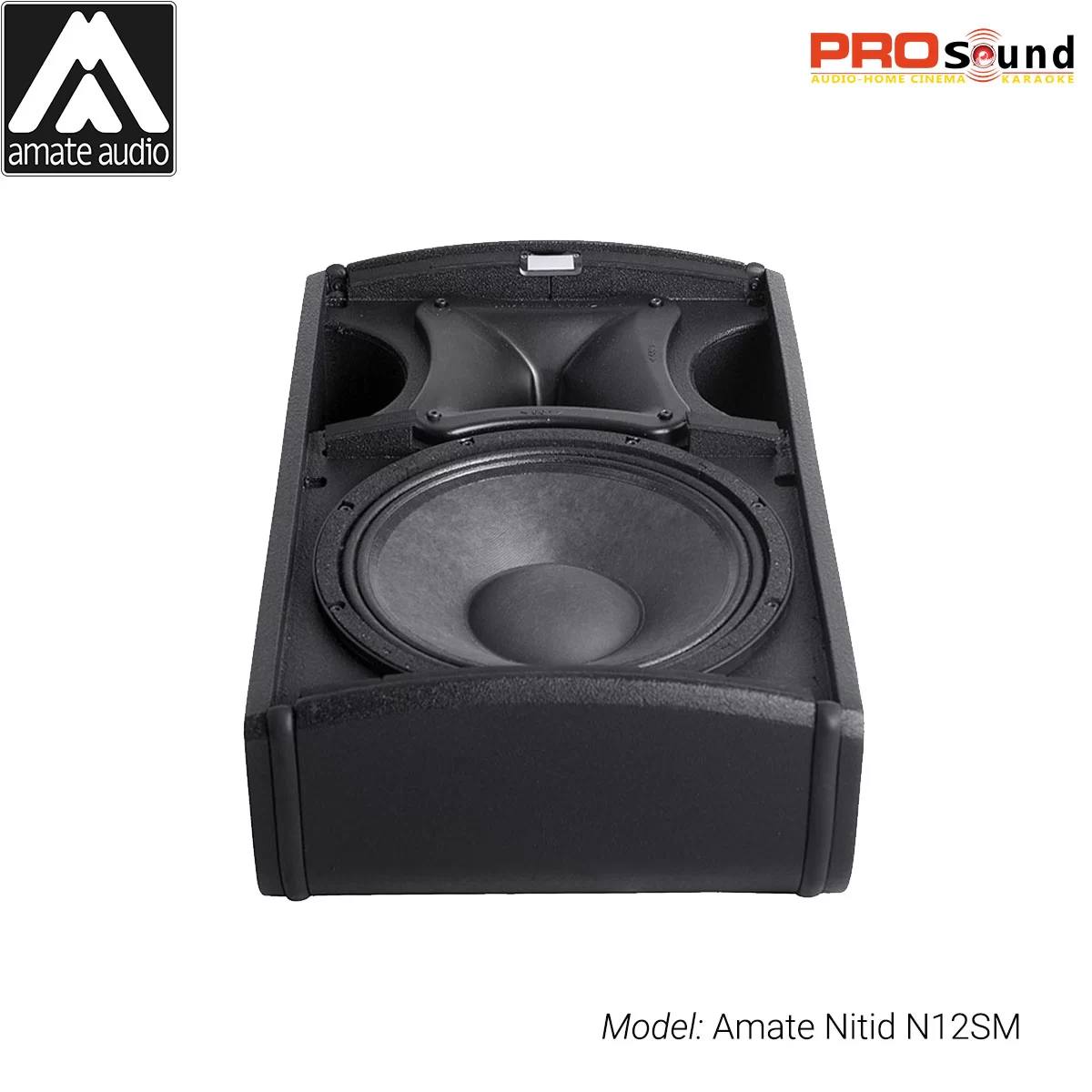 Loa Amate Nitid N12SM Active