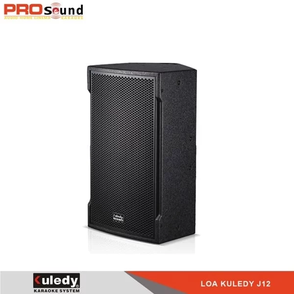 Loa Karaoke Kuledy J12