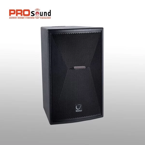 Loa Karaoke Maingo E100