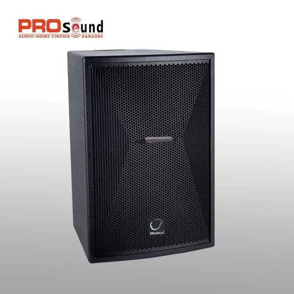 Loa Karaoke Maingo E200