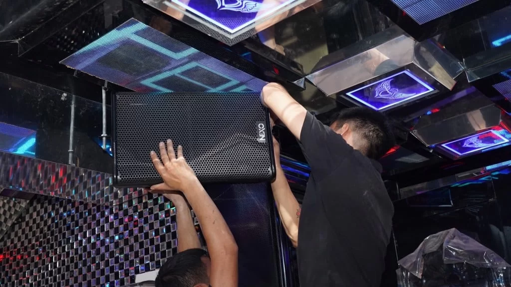 Loa Nexo PS10 R2 France