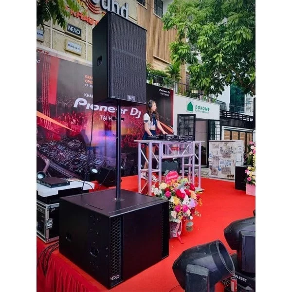 Loa Nexo PS15 France