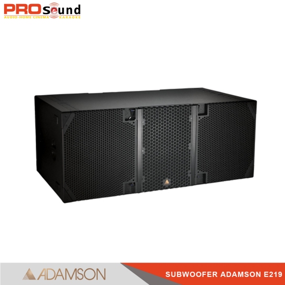 Adamson Subwoofer E219