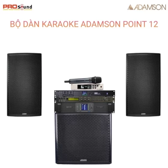 Dàn Karaoke Gia Đình Adamson Point 12