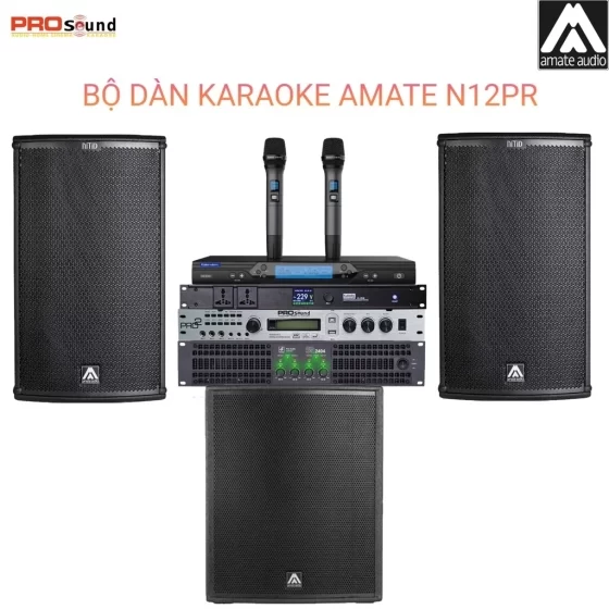 Dàn Karaoke Gia Đình Amate N12PR