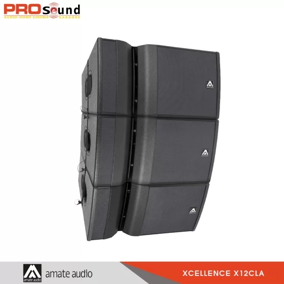 Loa Cluster Array Amate Xcellence X12CLA Active