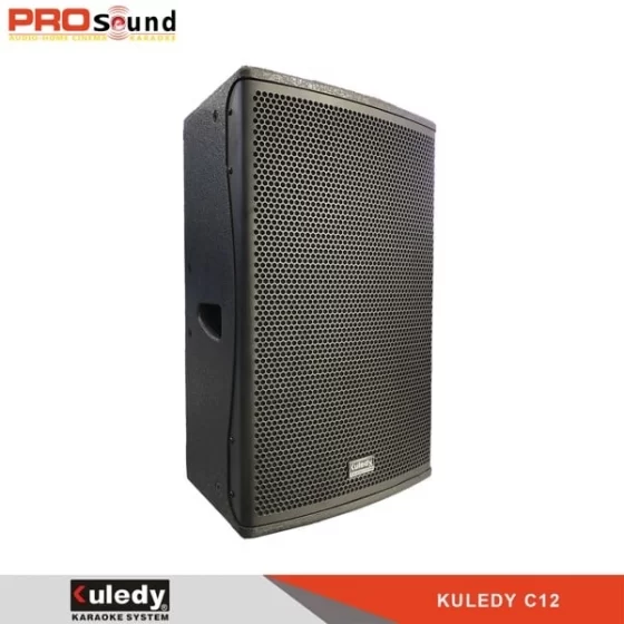 Loa Karaoke Kuledy C12