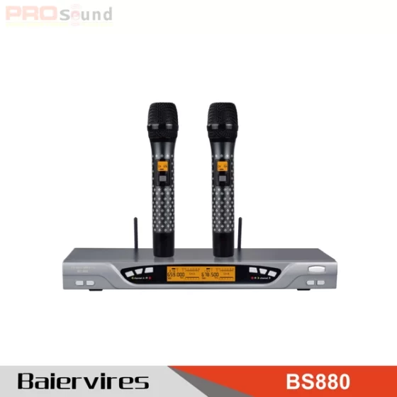 Micro Karaoke Baiervires BS880
