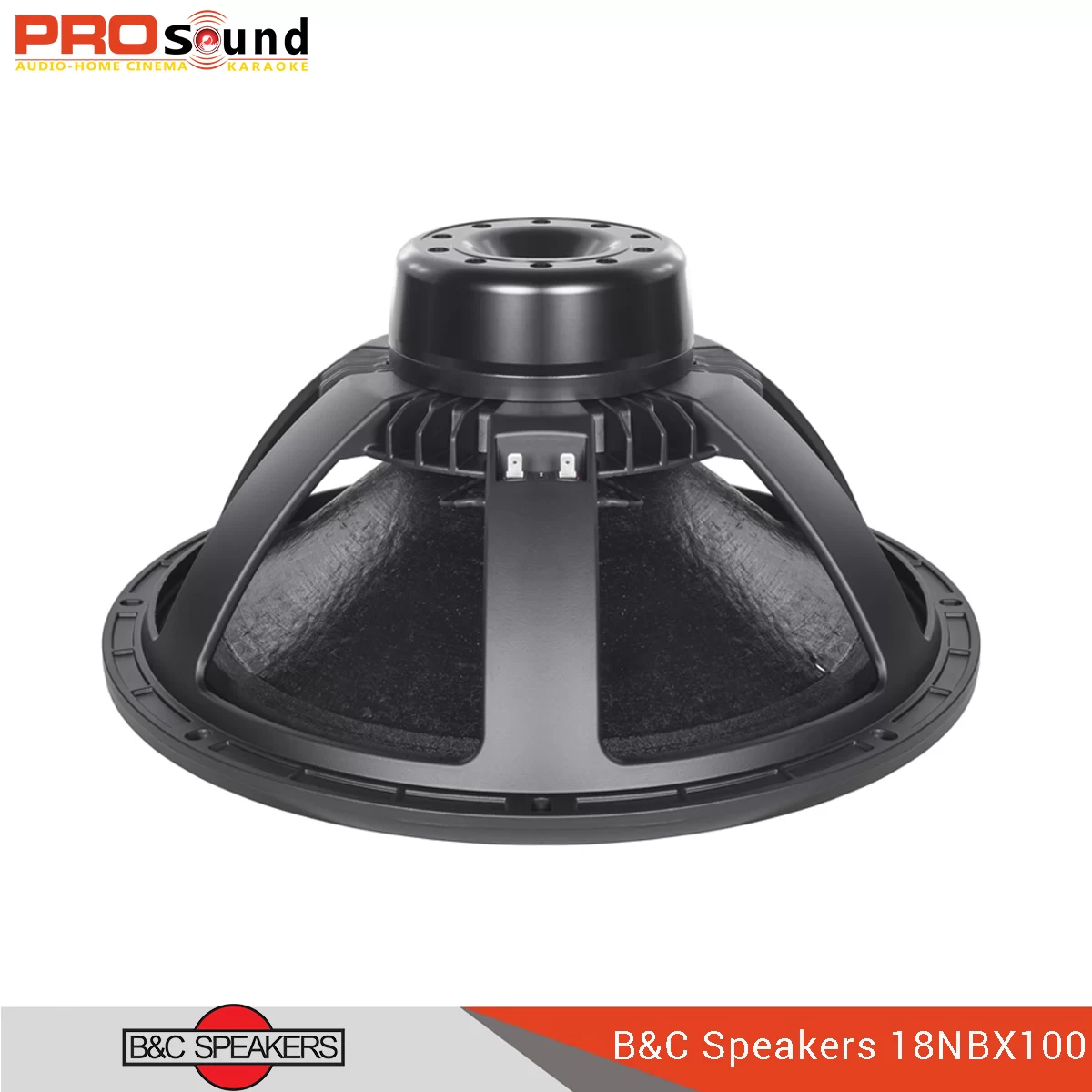 B&C Speaker 18NBX100