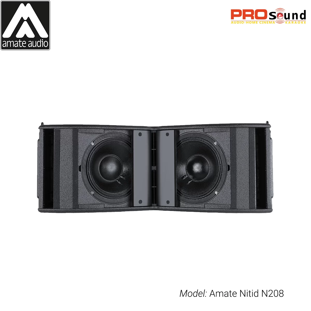 Loa Line Array Amate Nitid N208 Active