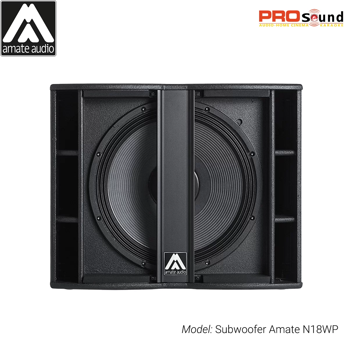 Loa Subwoofer Amate Nitid N18WP