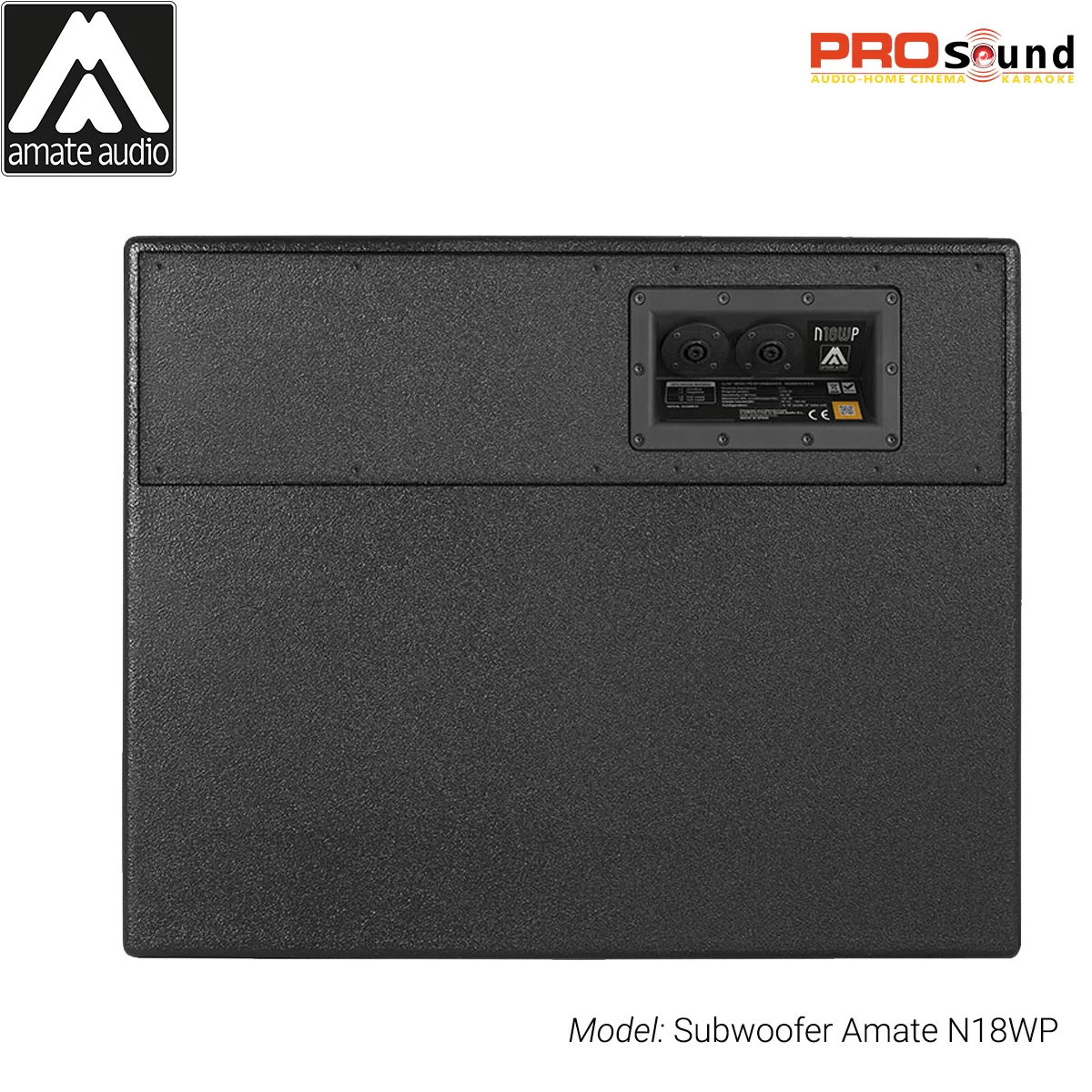 Loa Subwoofer Amate Nitid N18WP