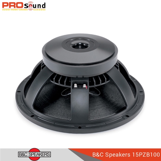 B&C Speaker 15PZB100