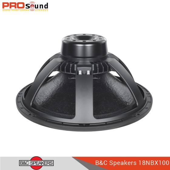 B&C Speaker 18NBX100