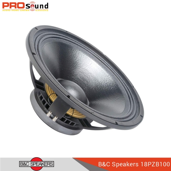 B&C Speaker 18PZB100