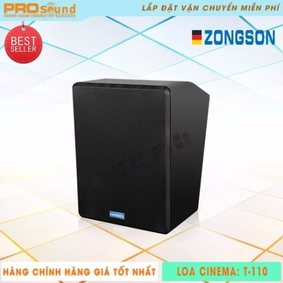 Loa Cinema & Karaoke T110