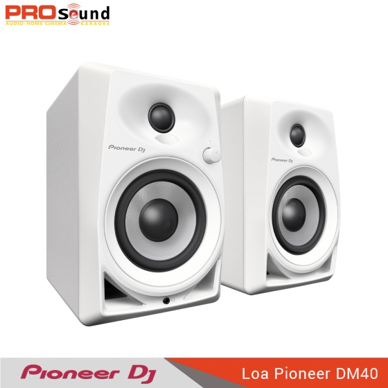 Loa Monitor Pioneer DM40