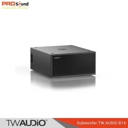 Loa subwoofer TW AUDiO B14