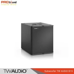 Loa subwoofer TW AUDiO B15