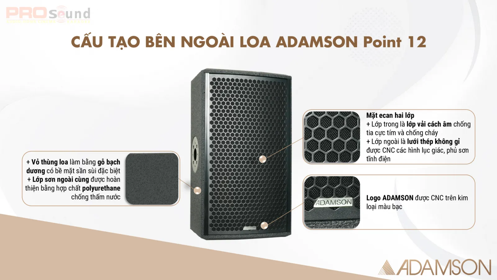 cấu tạo bên ngoài adamson point 12