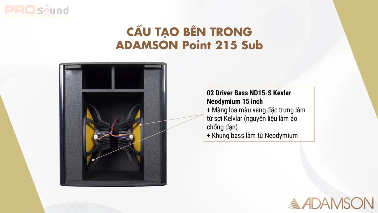 cấu tạo bên trong adamson point 215