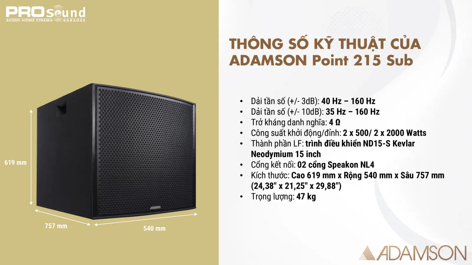 thông số kỹ thuật adamson point 215