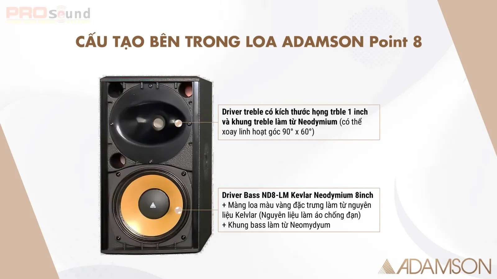 adamson point 8 cấu tạo bên trong