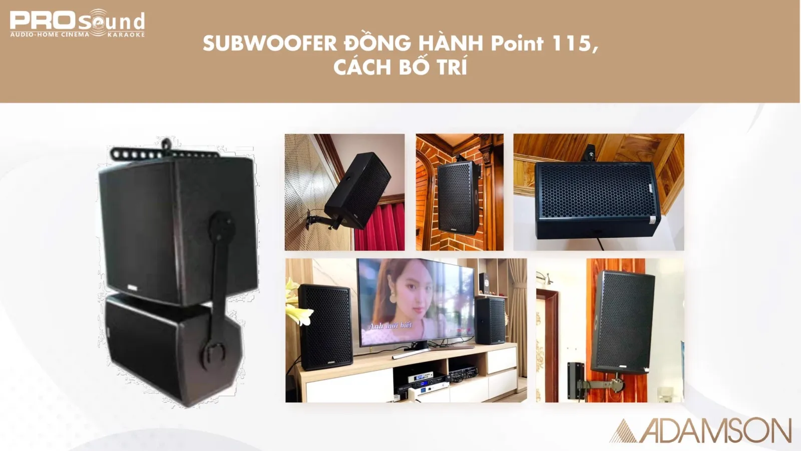 adamson point 8 cách bố trí