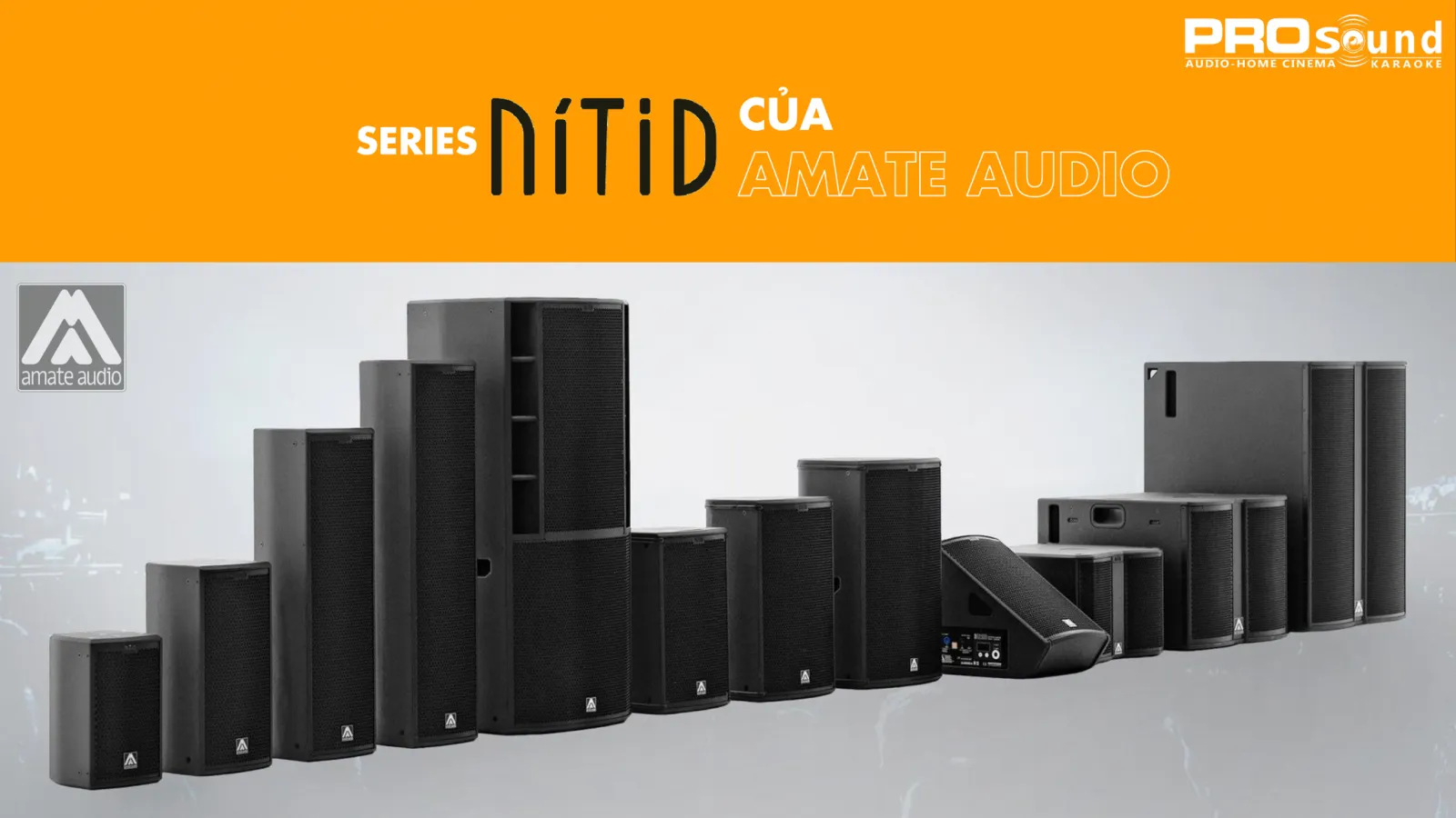 Series Nitid của Amate
