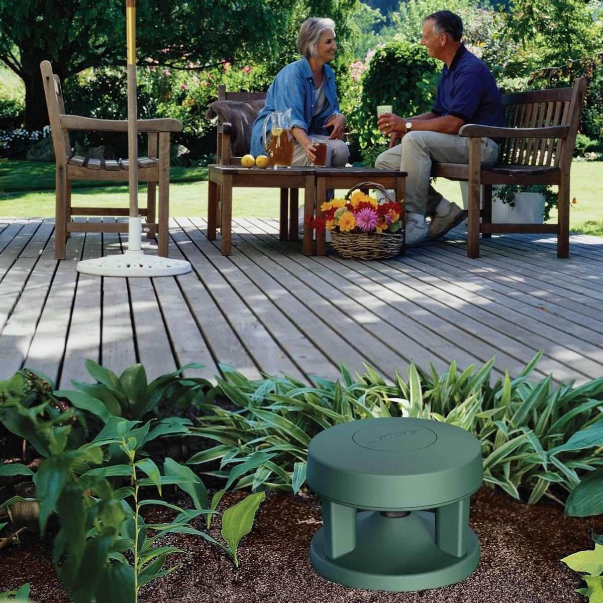 Loa Bose Free Space 51 Environmental