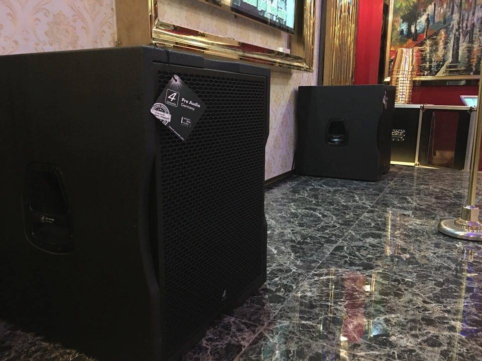 cấu tạo loa PCS 118BQ