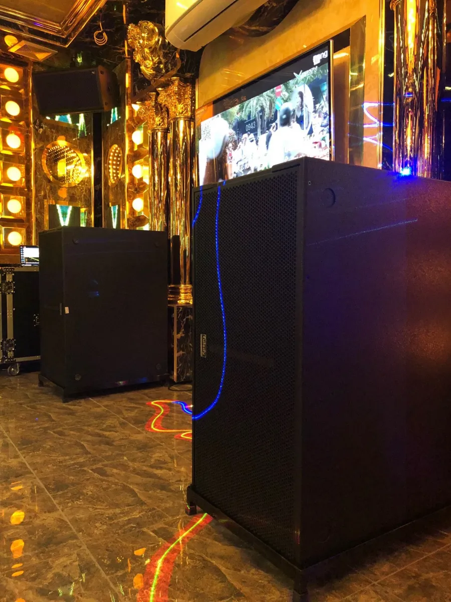 Loa sub Kuledy B218 thẻ hiện sự chuyên dụng