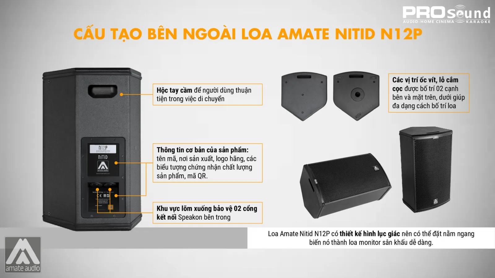 Mặt sau loa AMATE Nitid N12P