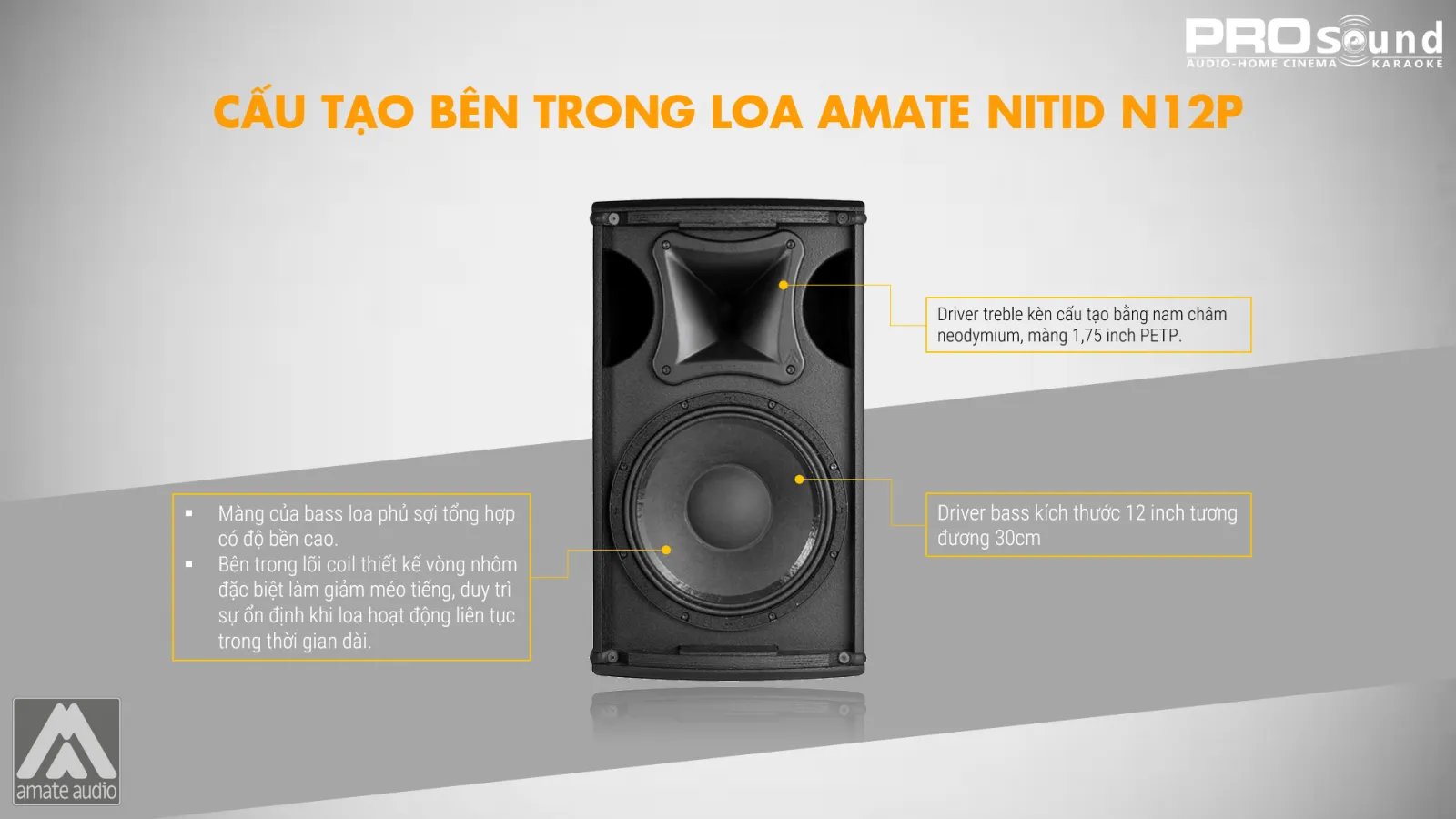 Cấu tạo bên trong loa AMATE Nitid N12P
