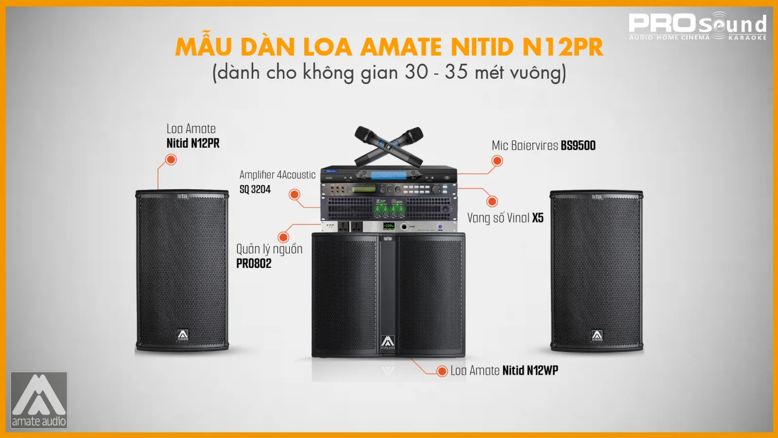 Mẫu dàn loa AMATE Nitid N12PR