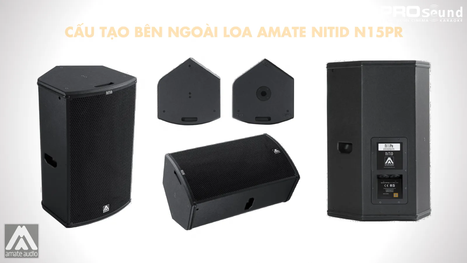 thùng loa AMATE Nitid N15PR