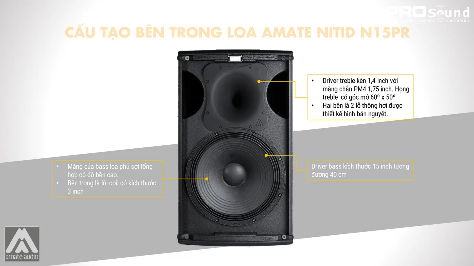Cấu tạo bên trong loa AMATE Nitid N15PR