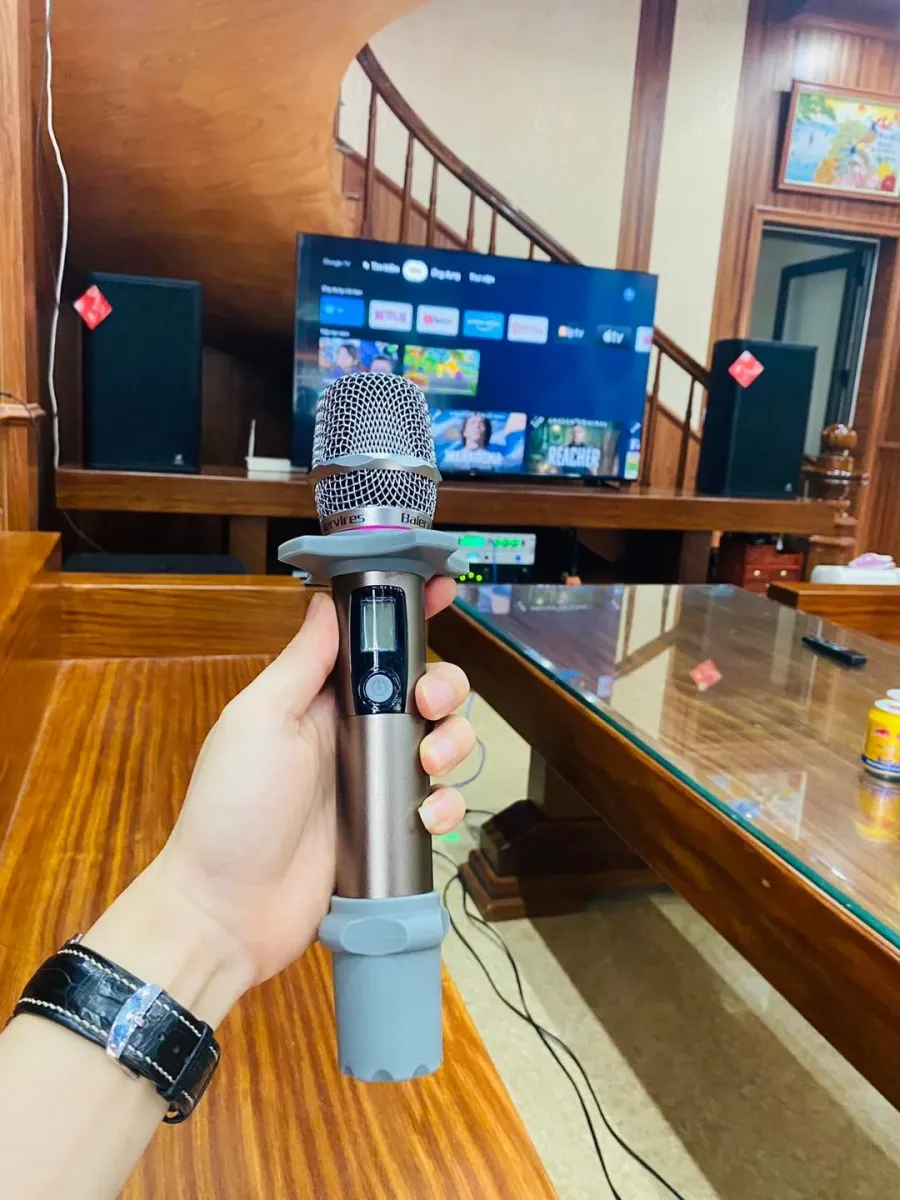 Micro Baiervires 1 xuất hiện trong dàn karaoke