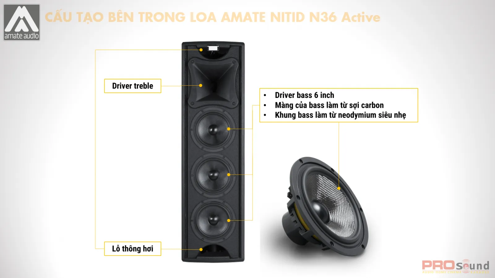 Cấu tạo bên trong loa AMATE Nitid N36 Active