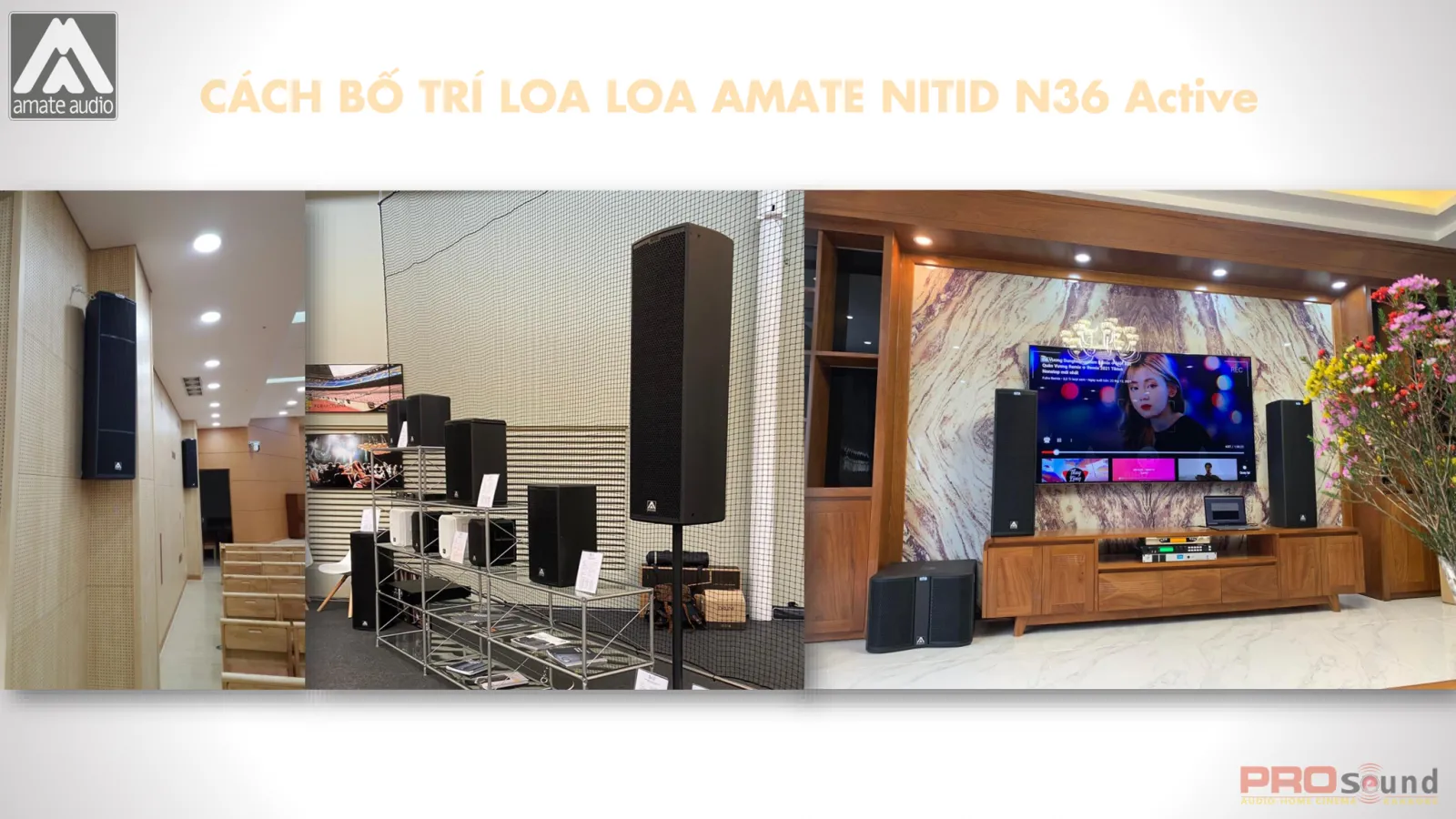 Cách bố trí loa AMATE Nitid N36 Active