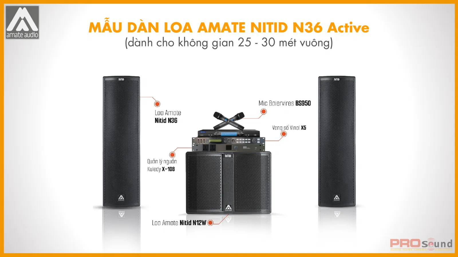 Mẫu dàn loa AMATE Nitid N36 Acitive