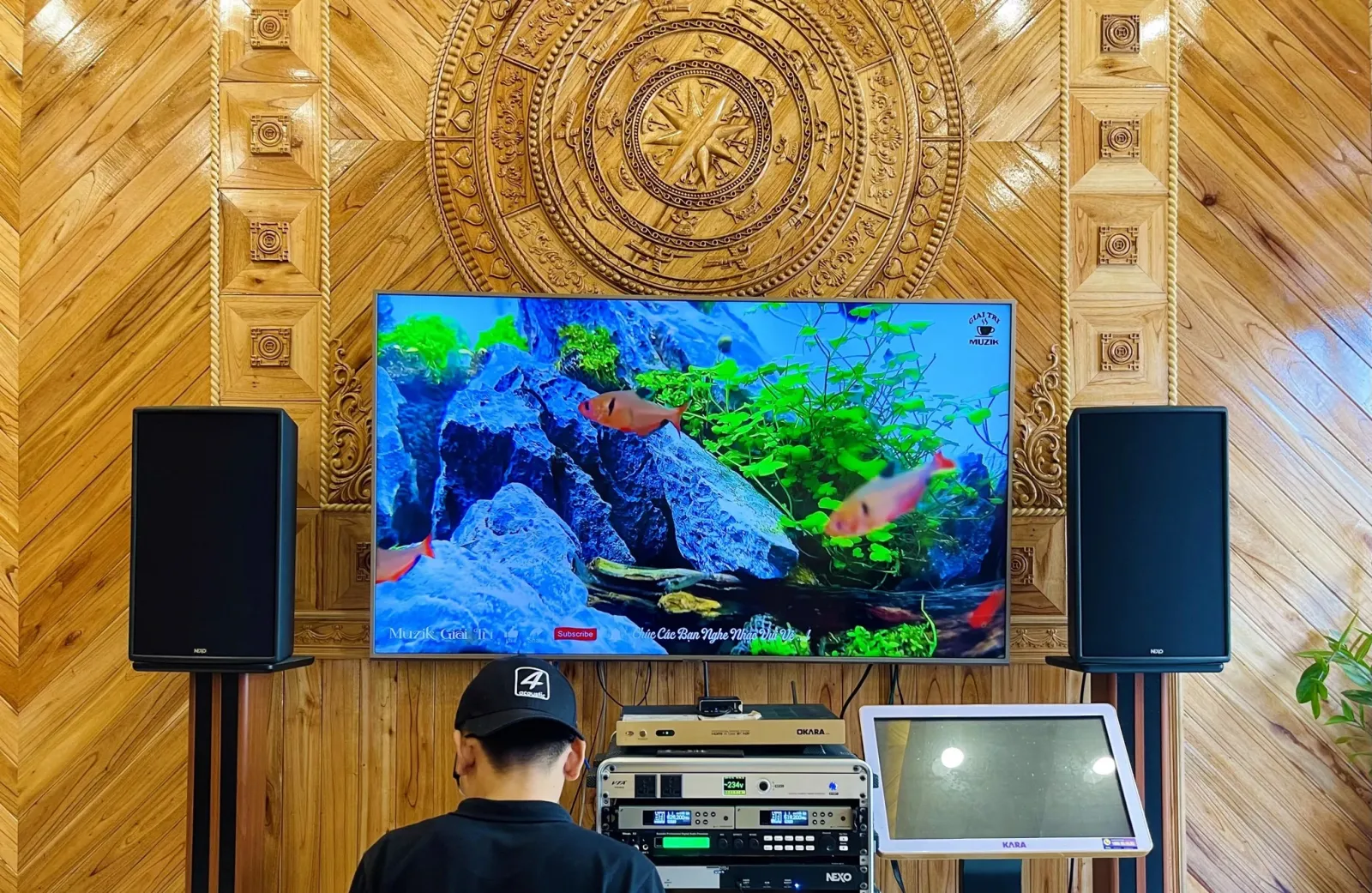 hệ thống &acirc;m thanh 