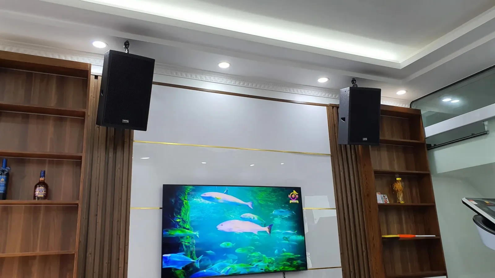 dàn karaoke cao cấp 